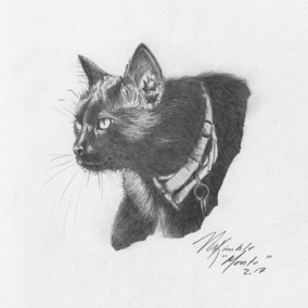 Monty 2